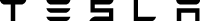 Tesla Wordmark Black