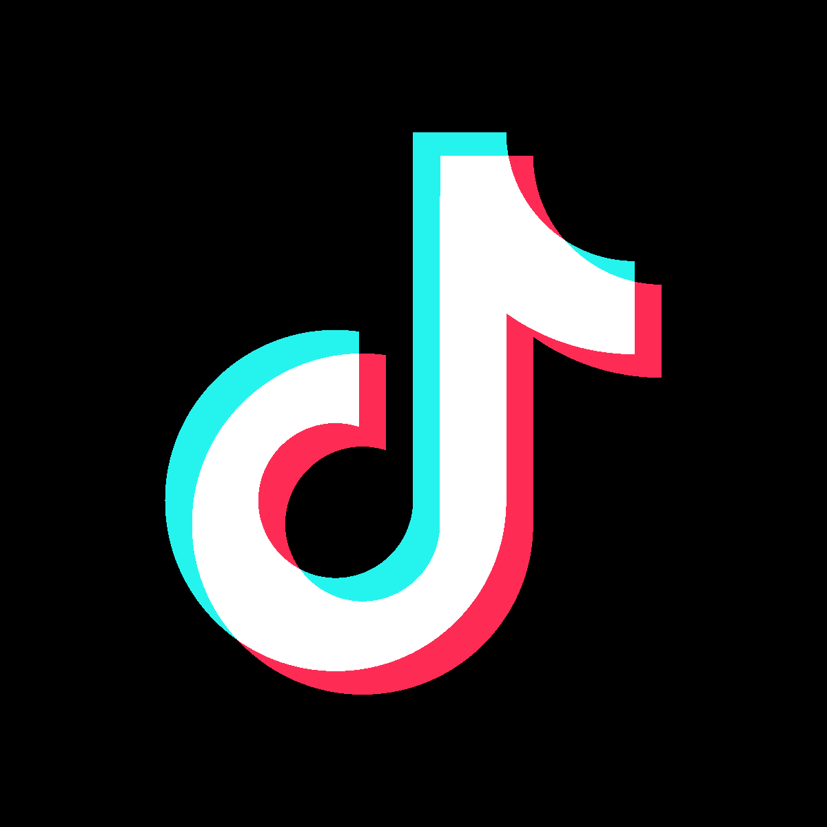 TikTok Icon Black Square
