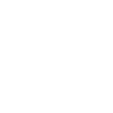 WhatsApp Icon White
