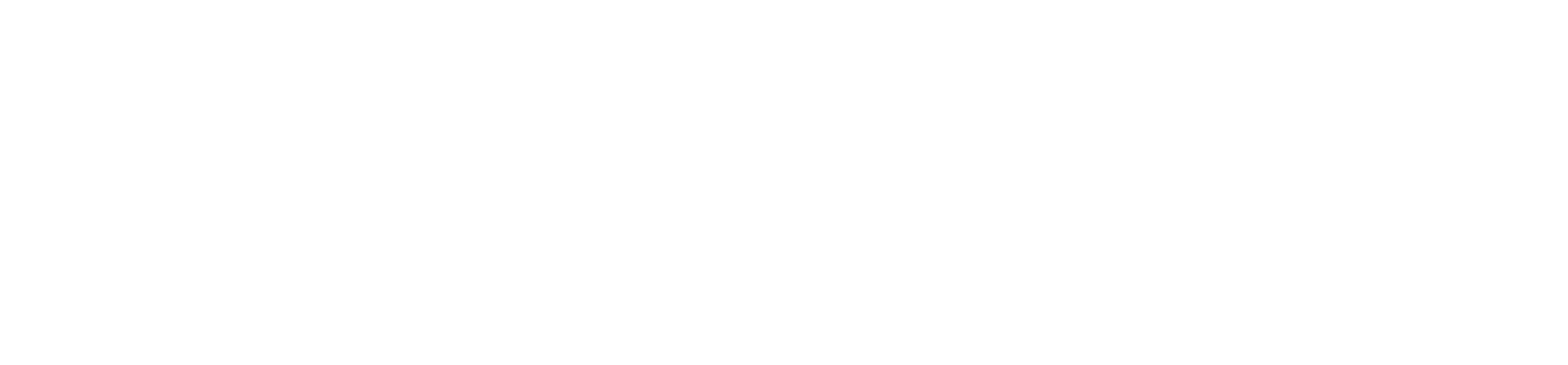 WhatsApp Inline Icon White