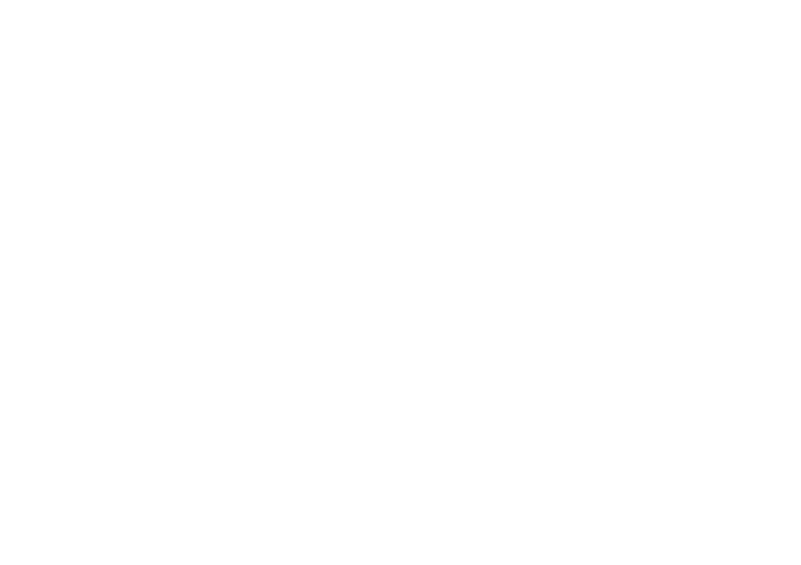 Youtube Monochrome Light Icon