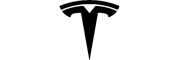 Tesla Logo T Black