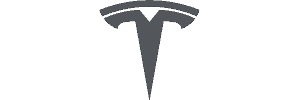 Tesla Logo T Gray